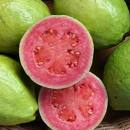 Pembe Guava Meyvesi